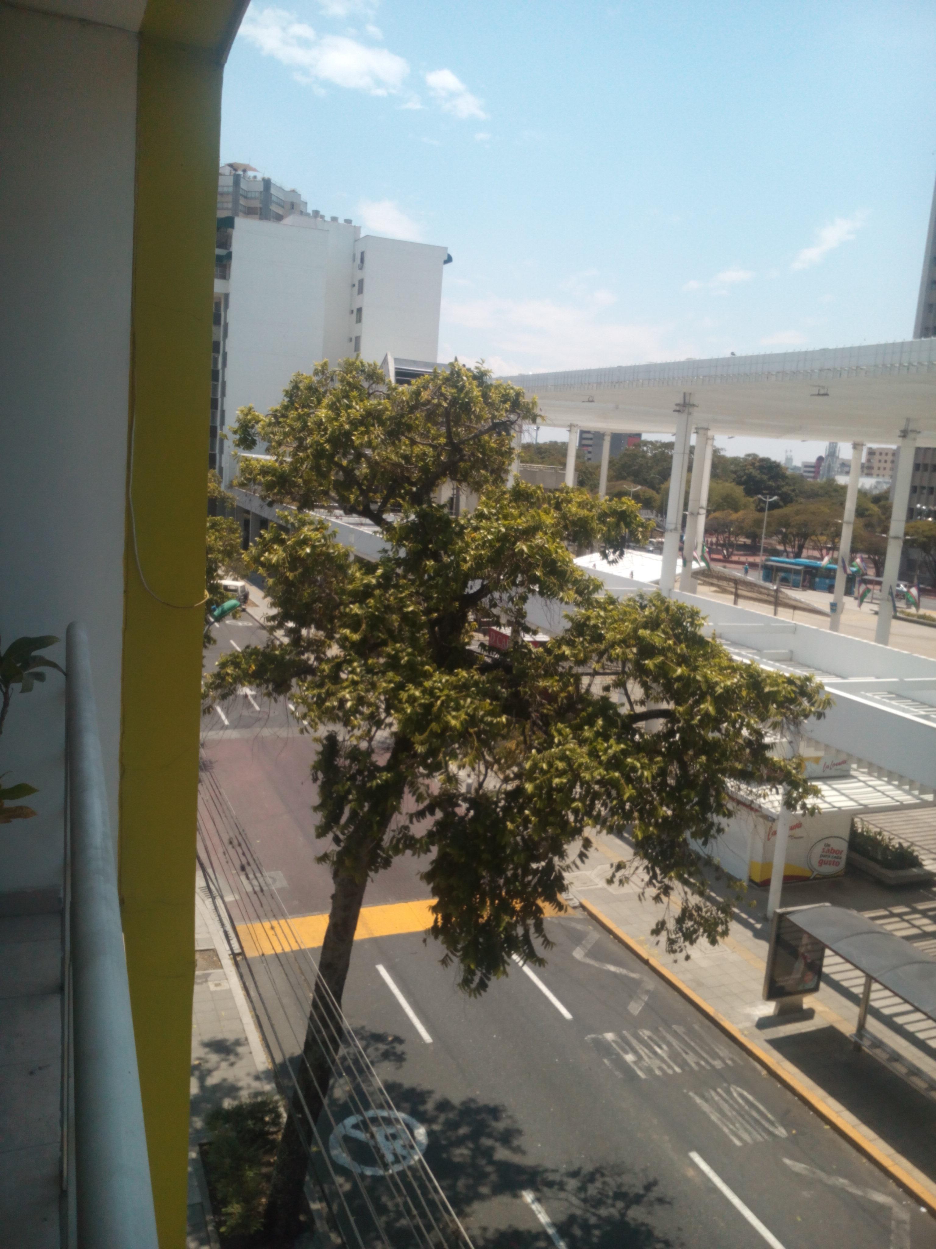 Hotel Cuarta Avenida Cali Exteriör bild